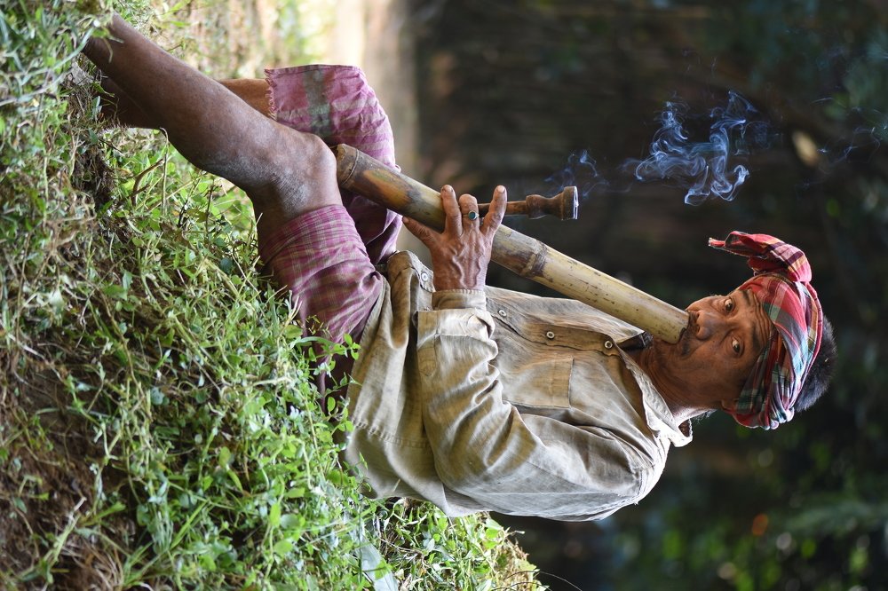 Photograph by Dipayan Debbarma