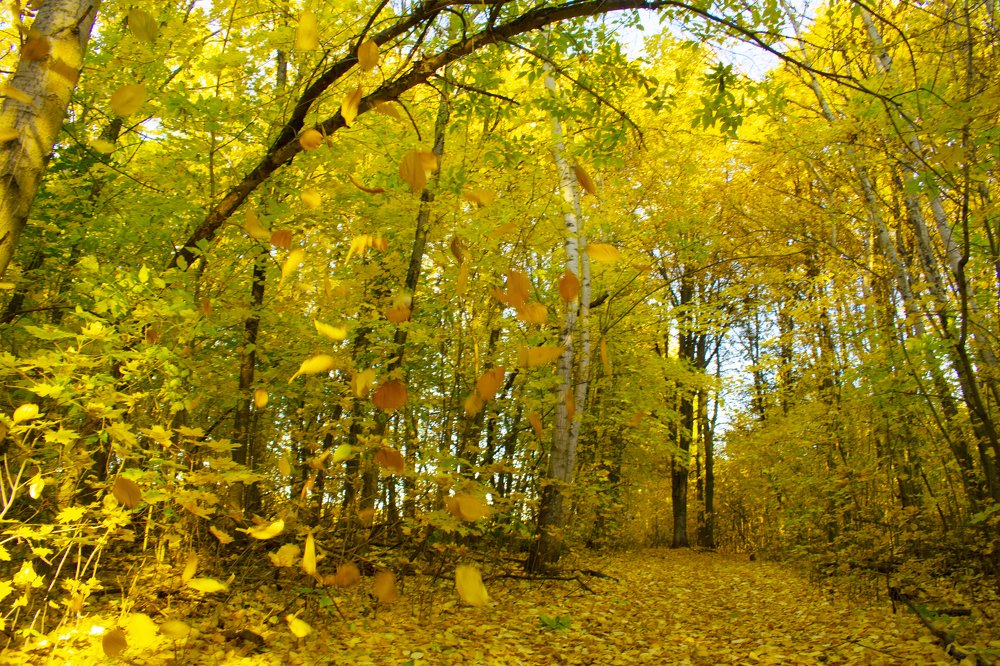 Photograph by Виктор Бурмистров