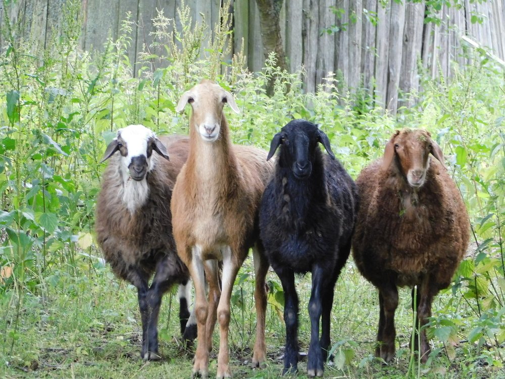 Photograph by Елена Грошева