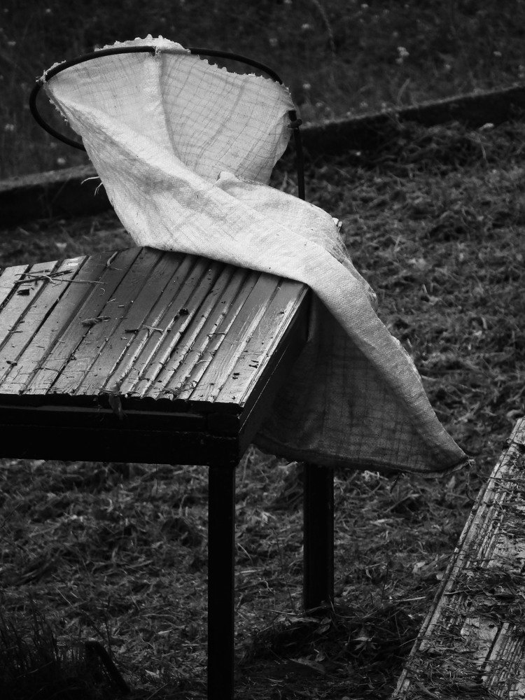 Photograph by Tsina Palynskaya