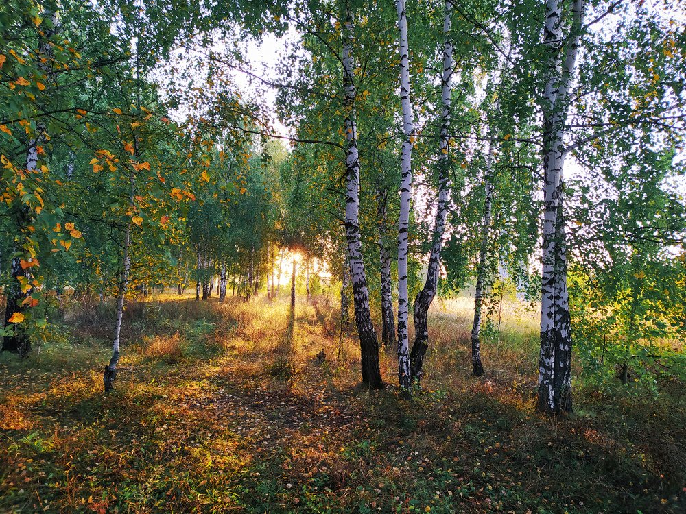 Photograph by Алексей