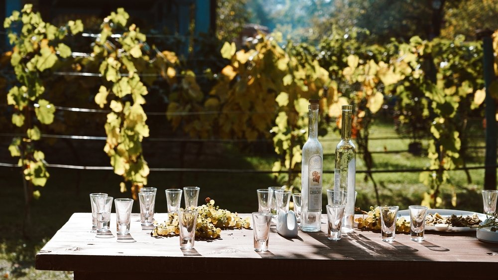 Photograph by David Pipia