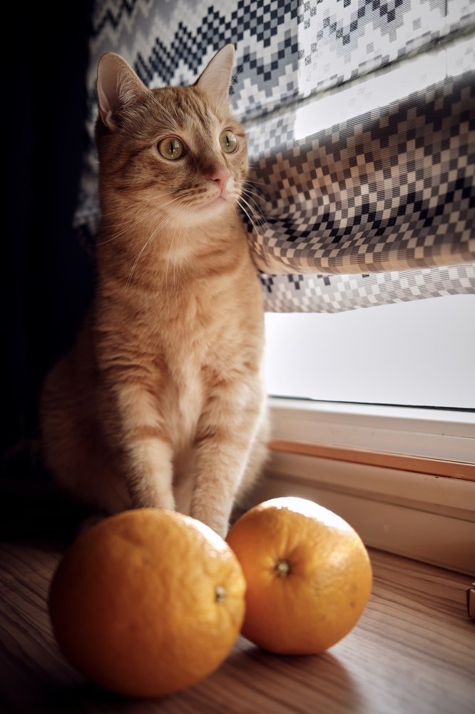 Photograph by Артур Газиев