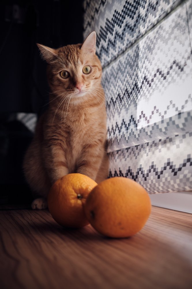 Photograph by Артур Газиев