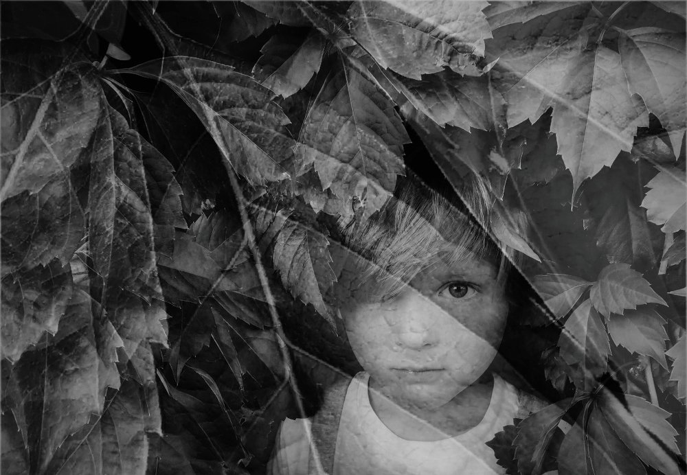 Photograph by Ирина Хромова