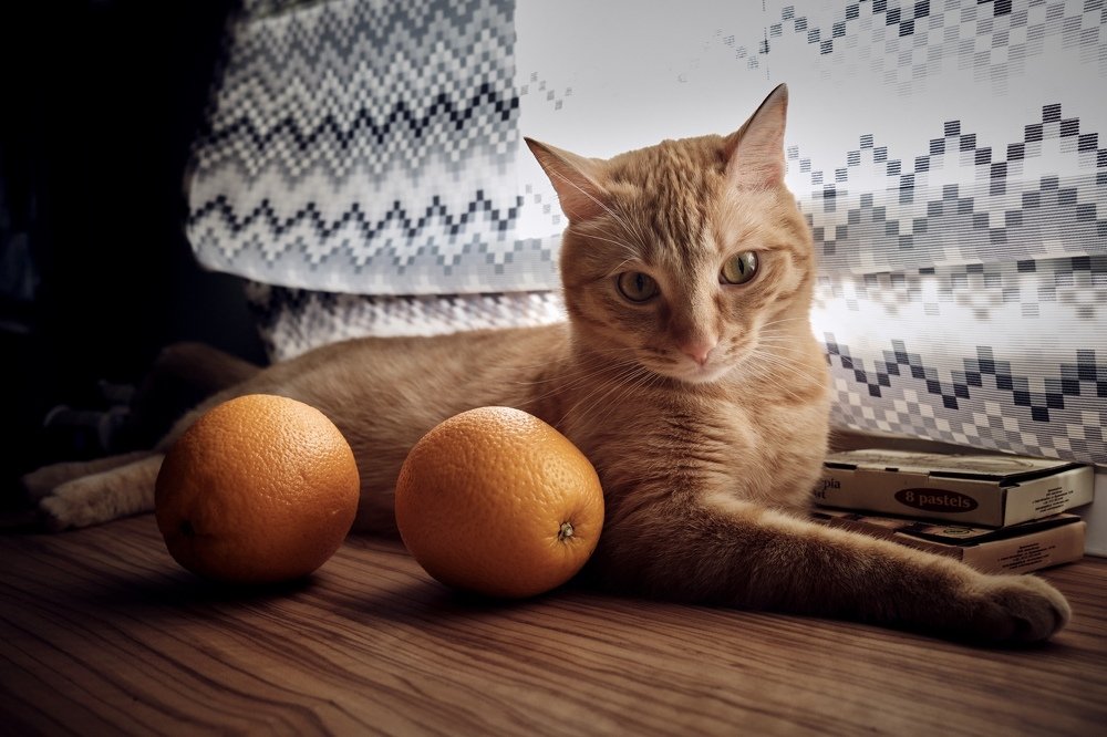 Photograph by Артур Газиев