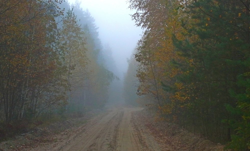 Photograph by леонид натапов