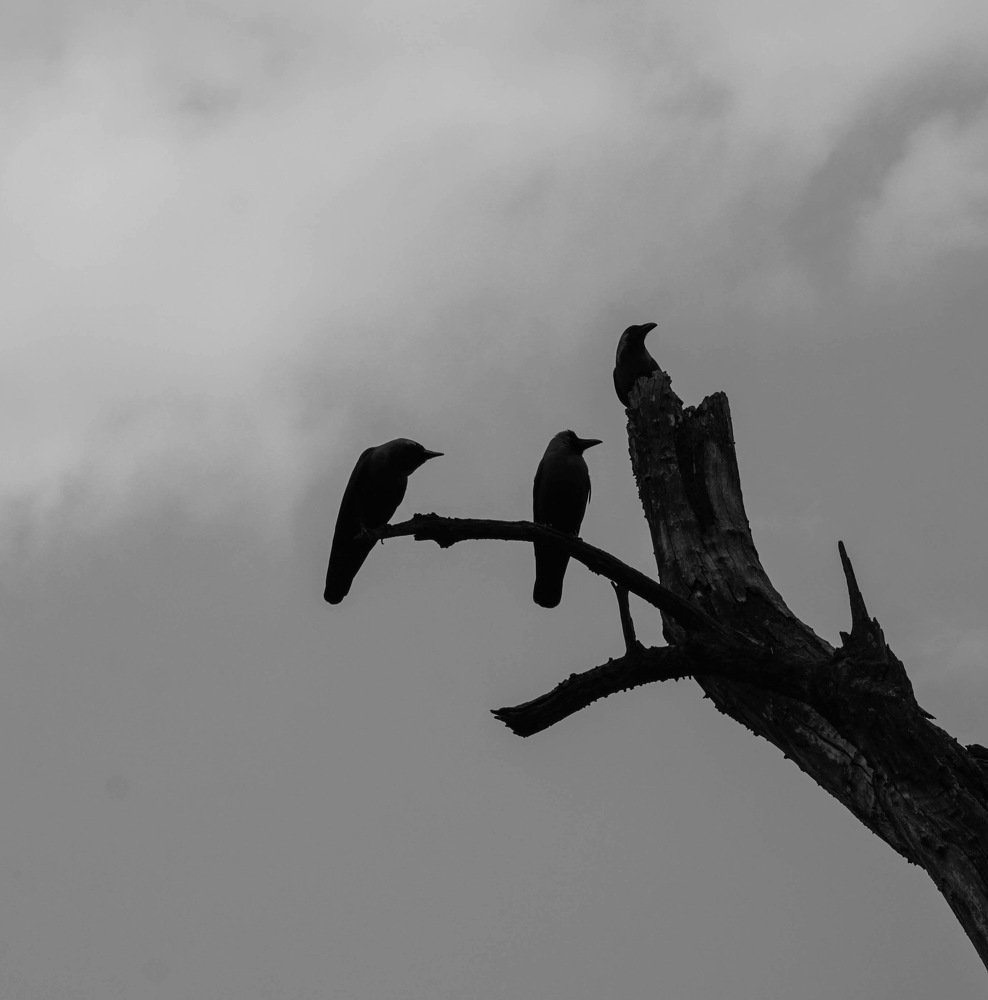 Photograph by Biplav Shrestha