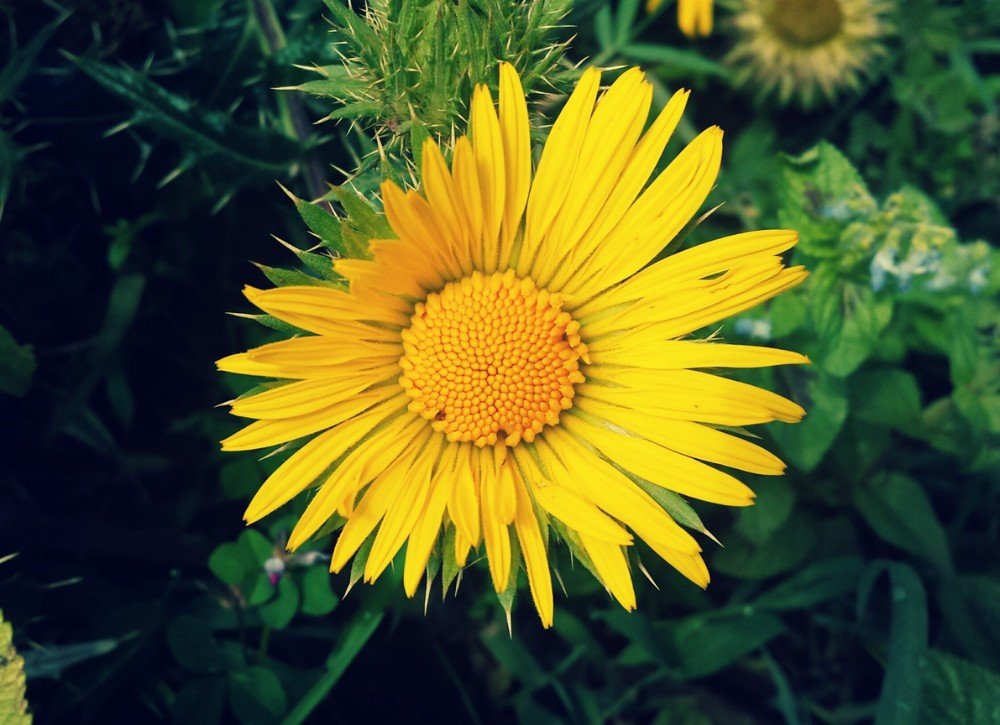Photograph by tekleab mulugeta