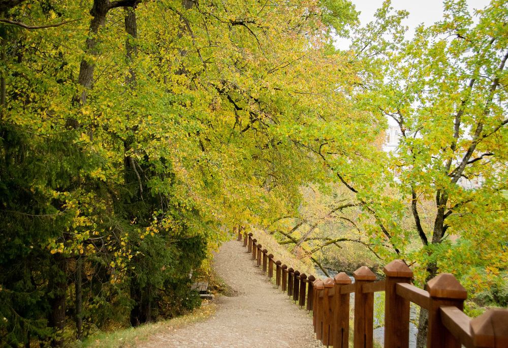 Photograph by Stella Talberg