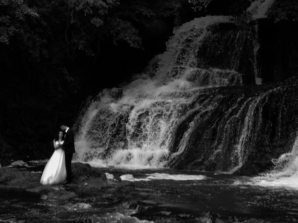 Photo #5099275