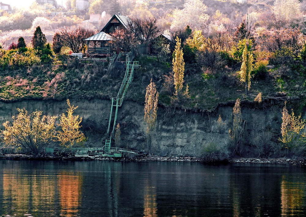 Фотография автора Тамара Бучарская