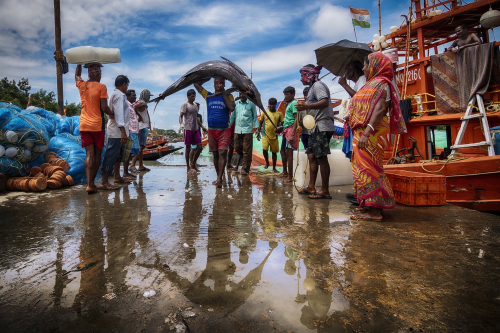 Фотография автора Joyraj Samanta