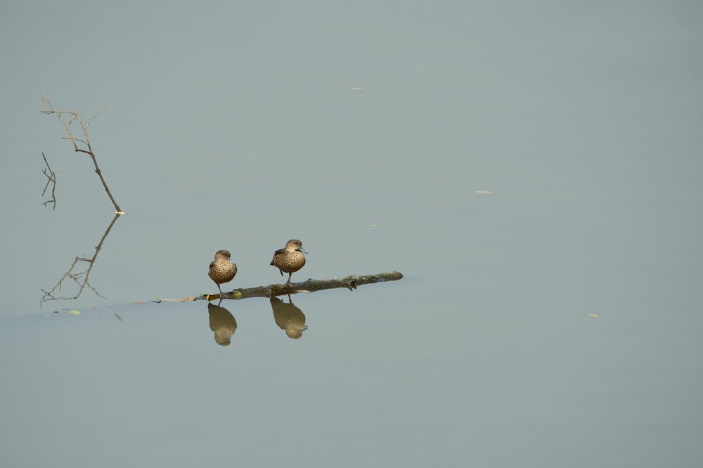 Photograph by Anges van der Logt