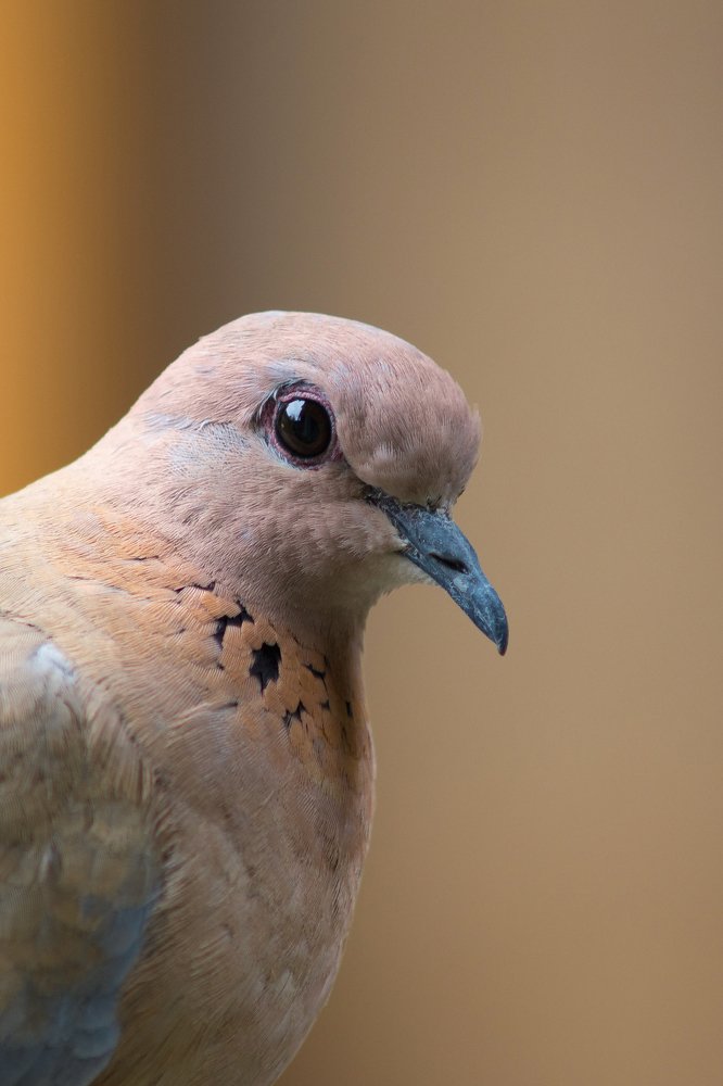 Photograph by Костюшкин Дмитрий