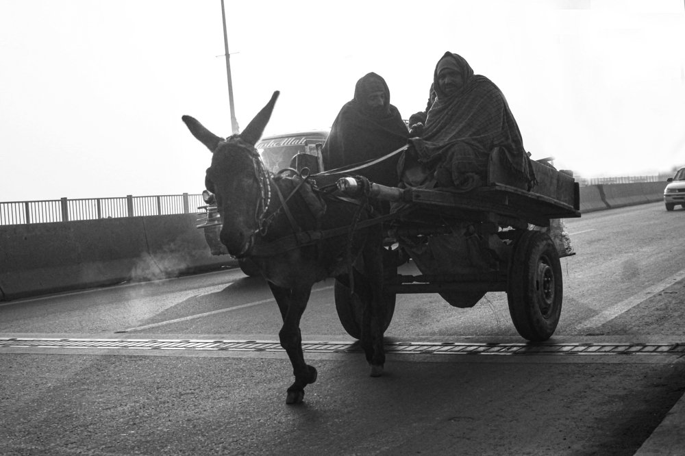 Photograph by M Y Dogar