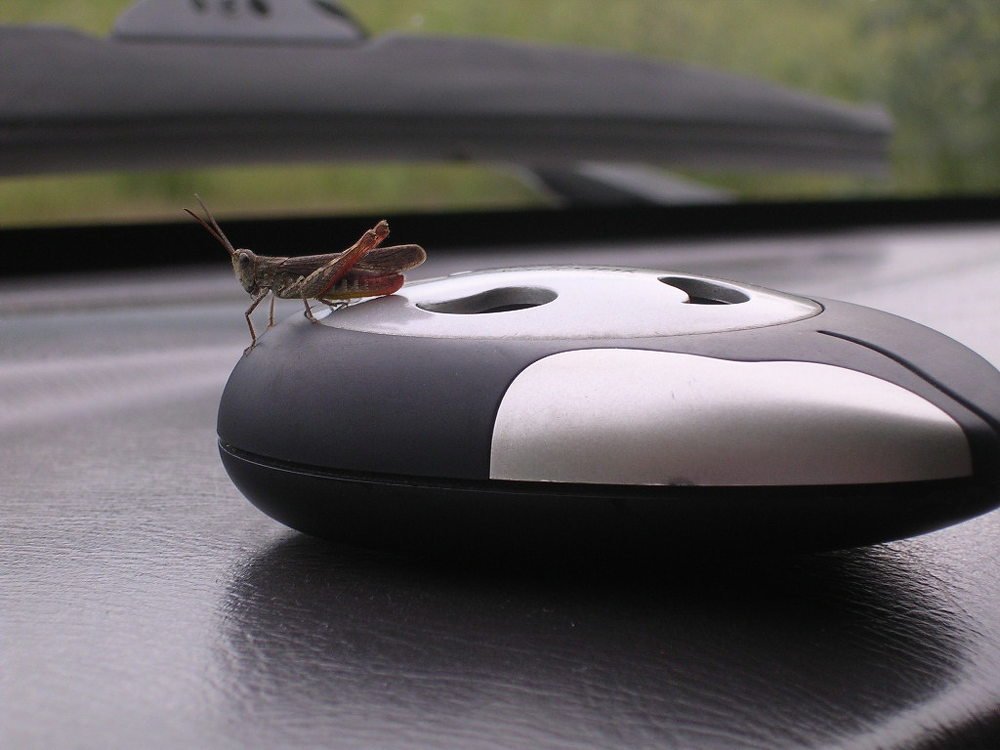 Photograph by Оксана Трофименко