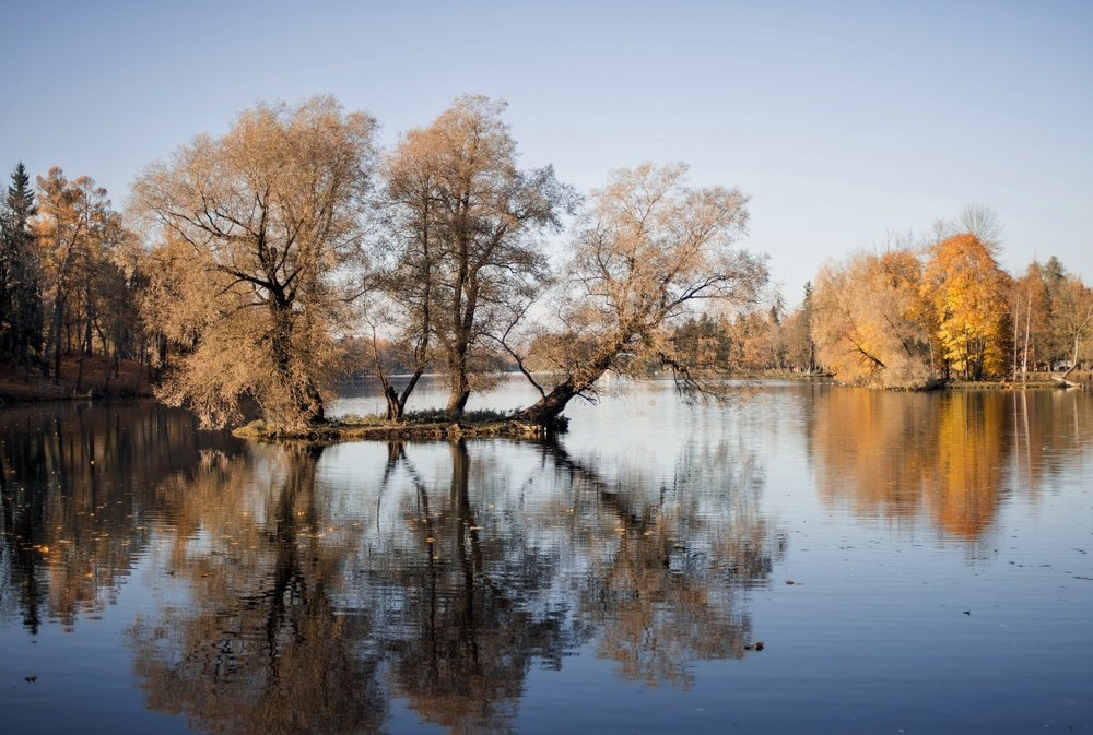 Photograph by Юлия Ильина