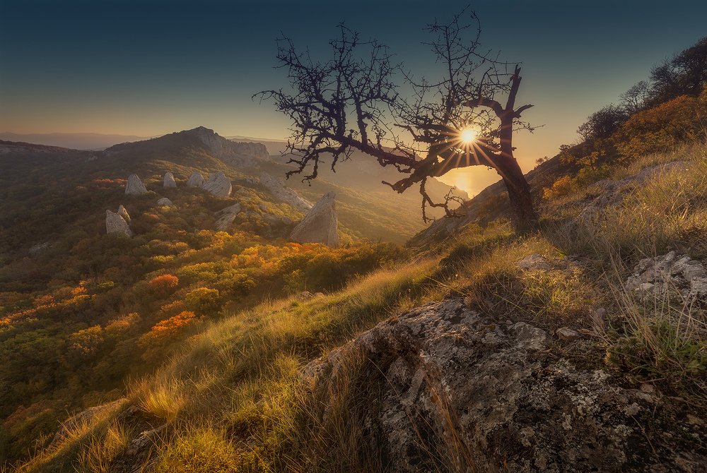 Photograph by Ольга Рудченко