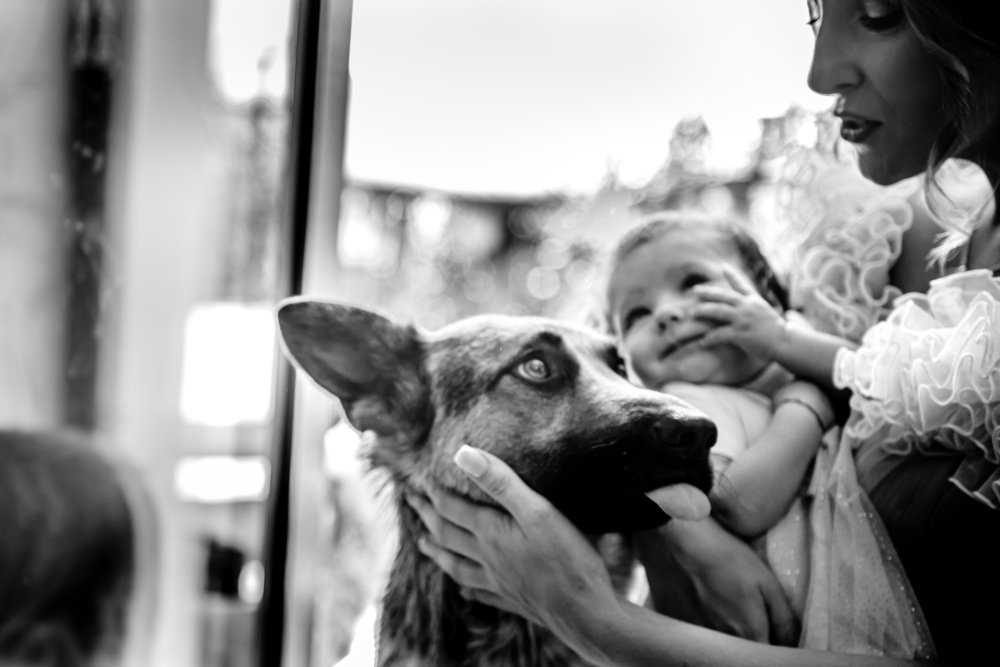 Photograph by Radu Constantinescu