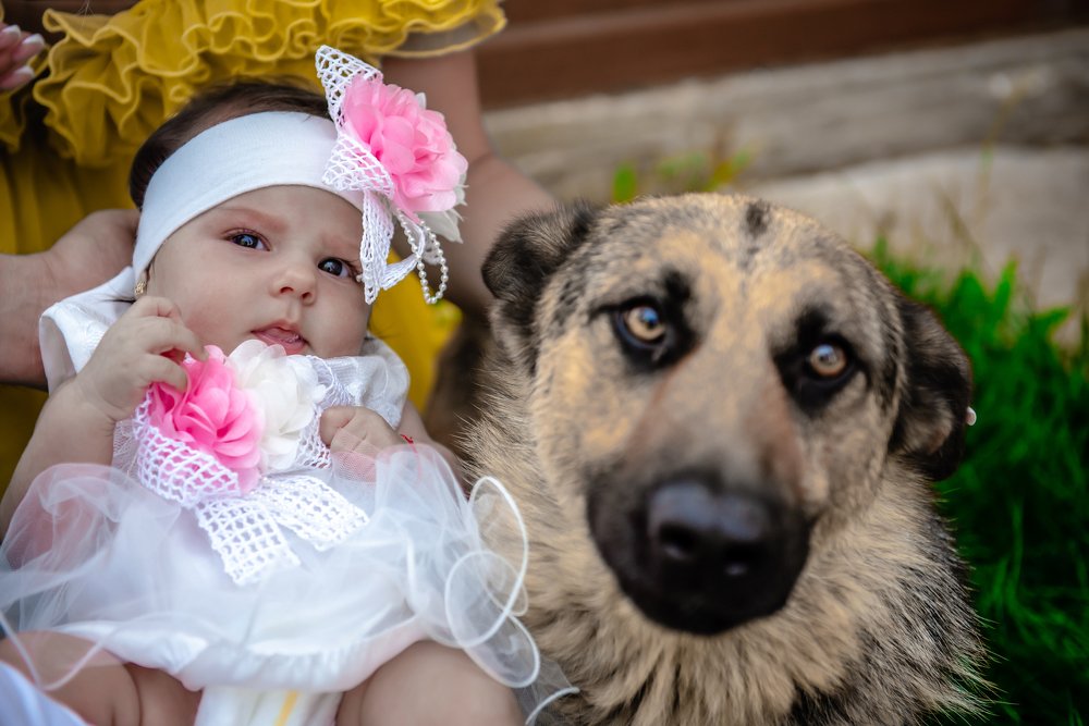 Photograph by Radu Constantinescu