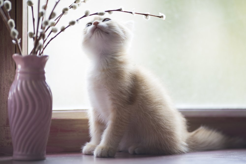 Photograph by Екатерина Фокина