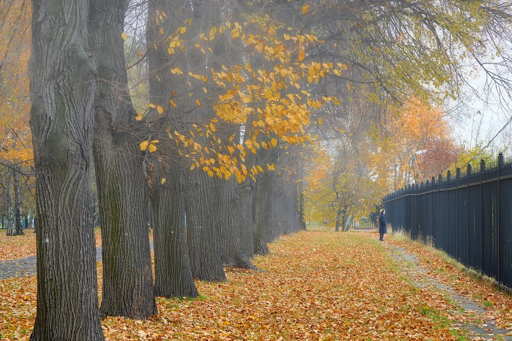 Photograph by Валерий