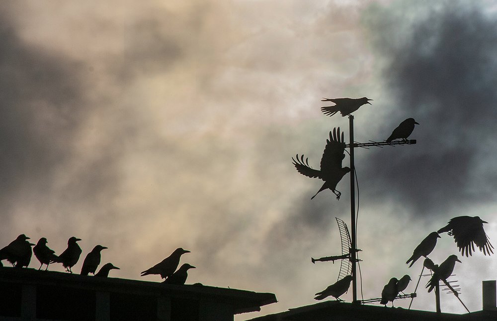 Photograph by Сычев Эдуард