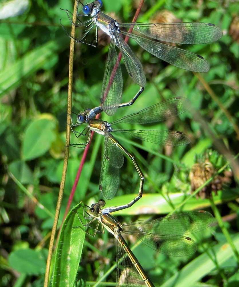 Photograph by Екатерина Салий