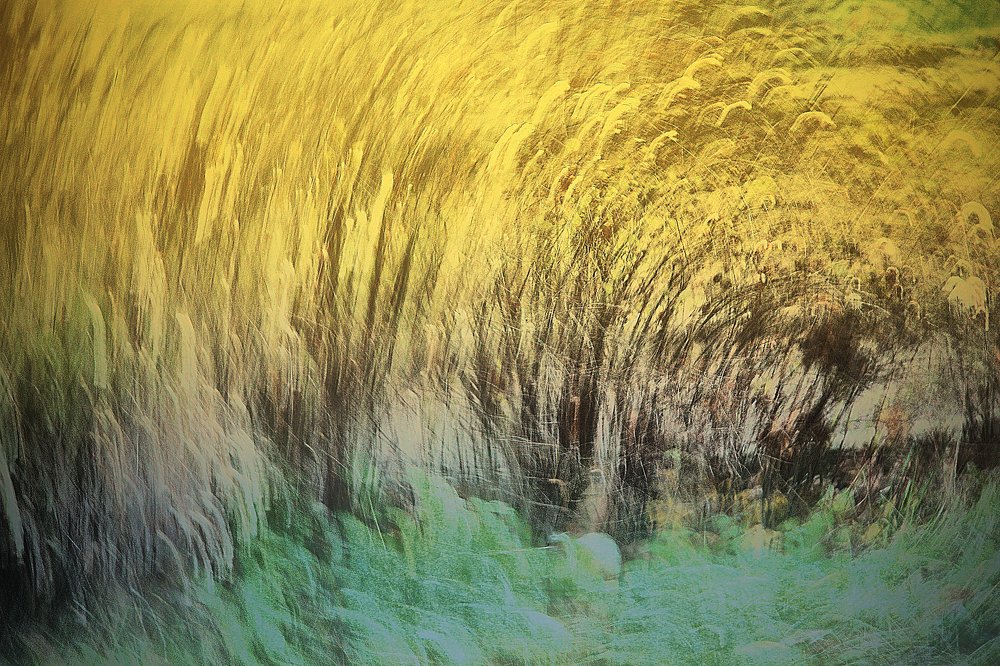 Photograph by Александр Малютин