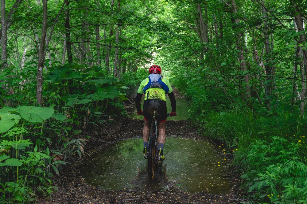 Photograph by Алексей Огурцов