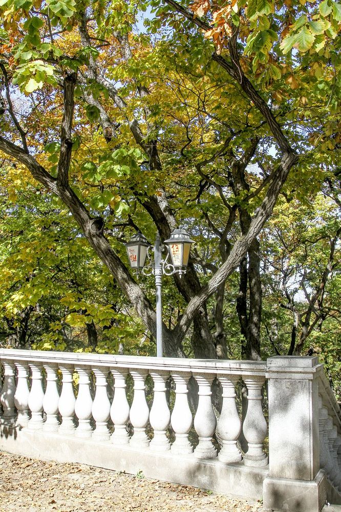 Photograph by Сергей Викторович