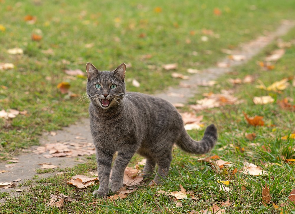 Photograph by Irina Demidova