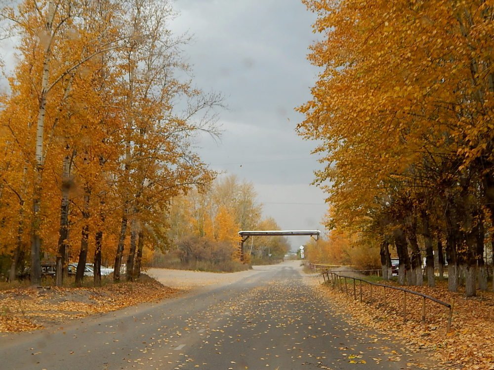 Photograph by Татьяна