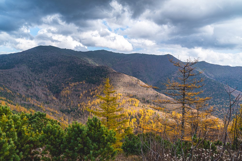 Photograph by Алексей Огурцов