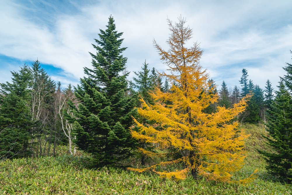 Photograph by Алексей Огурцов