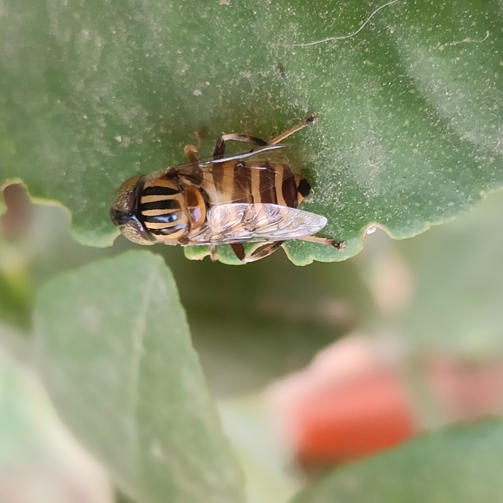 Photograph by Diwakaran D