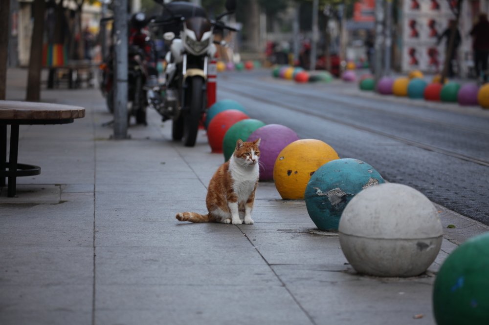 Photograph by Виктор Комиссаров