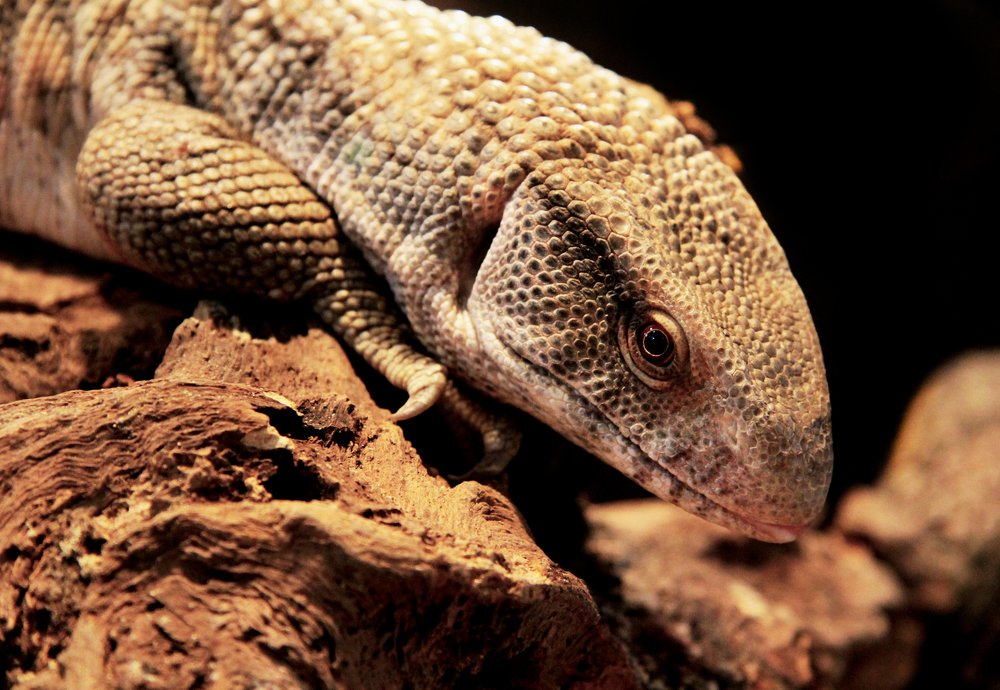 Photograph by Александр Малютин