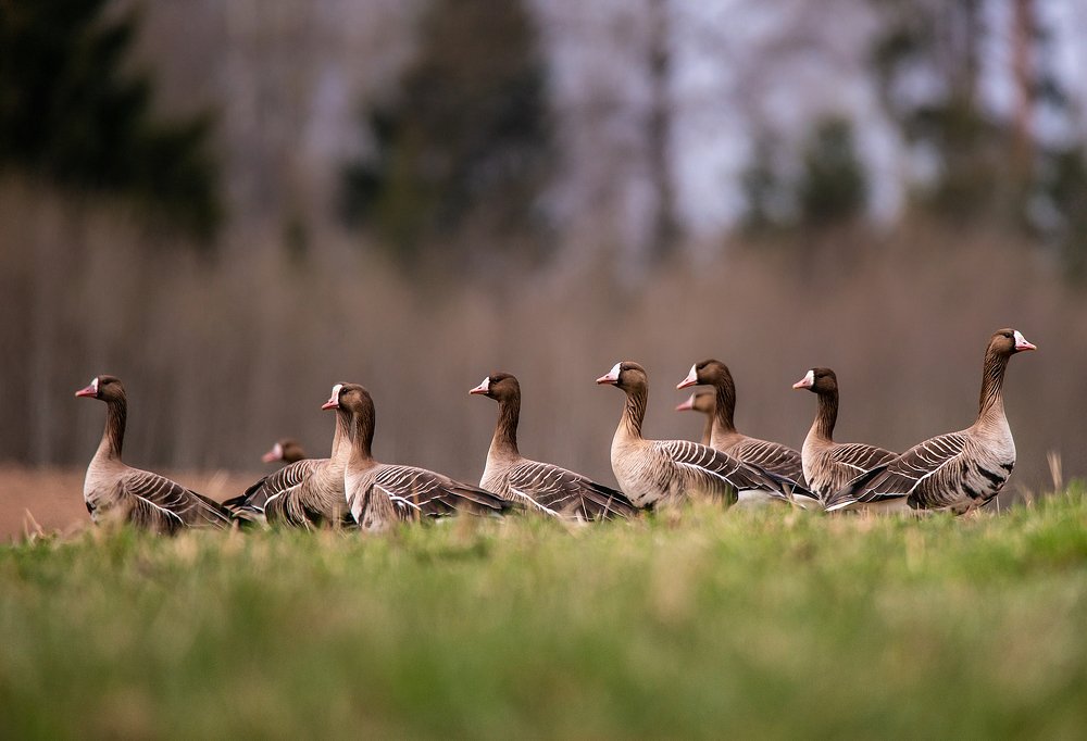 Photograph by Dace Spalviņa