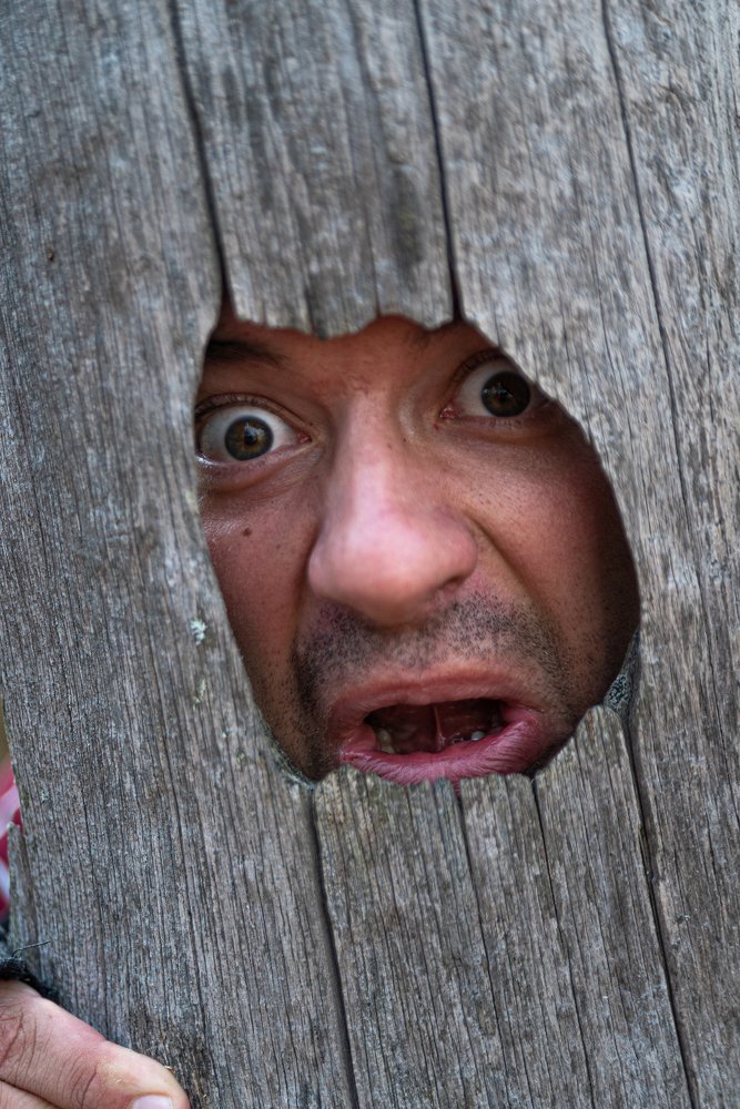 Photograph by Алексей Огурцов