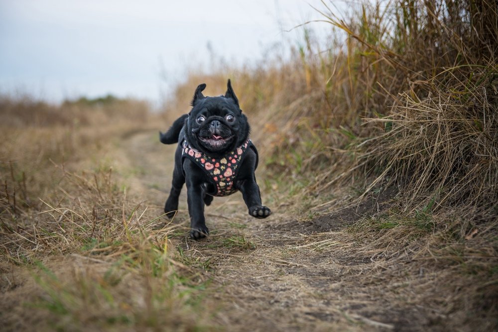 Photograph by Алексей Родионов