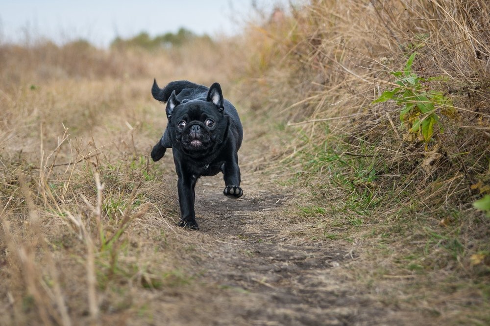 Photograph by Алексей Родионов