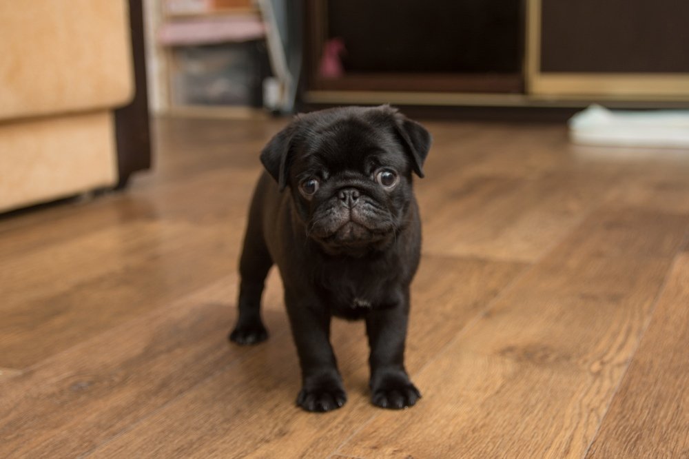 Photograph by Алексей Родионов