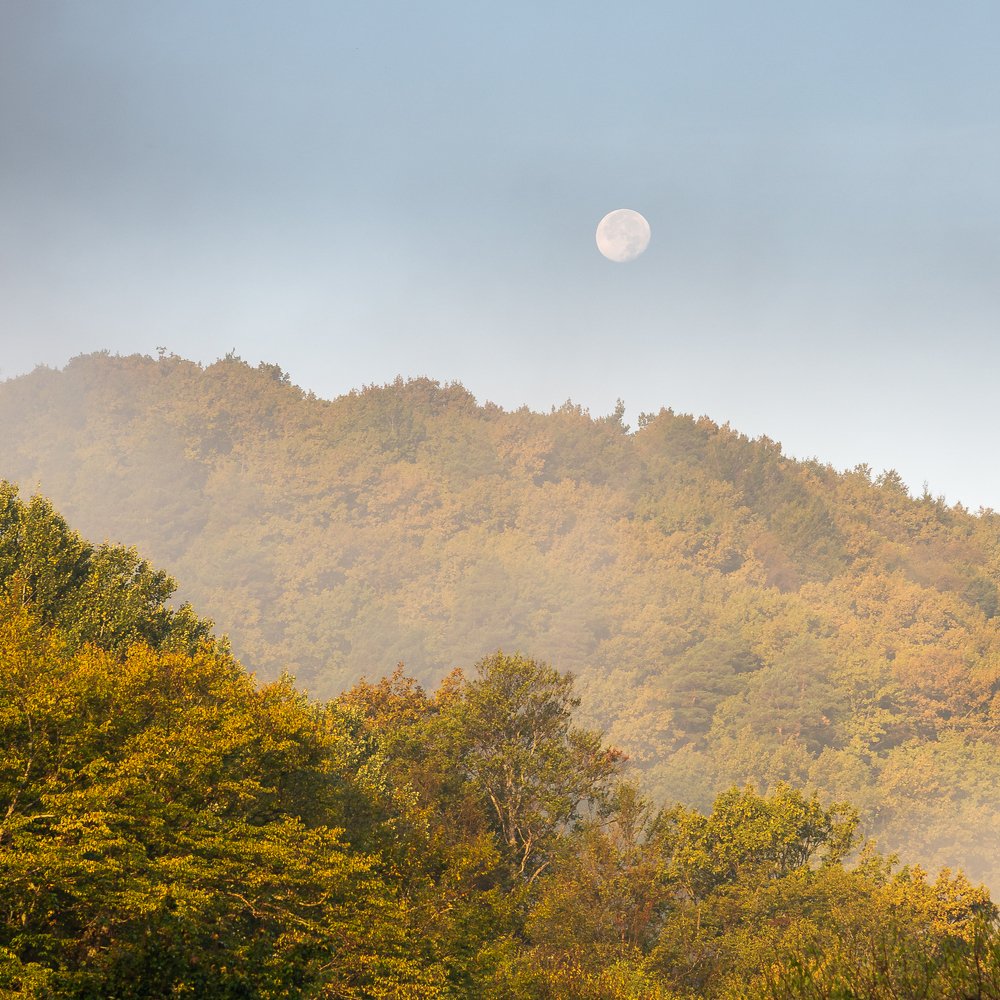 Photograph by Alexander Tsukanov