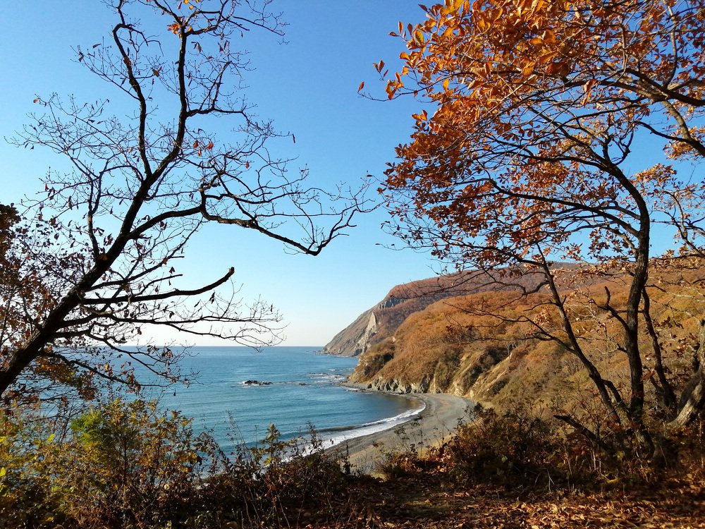 Японское море в раме БРОНЗОВОЙ осени. Октябрь. Приморье.