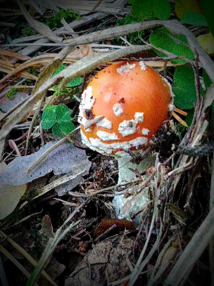 Photograph by Евгений Горбунов