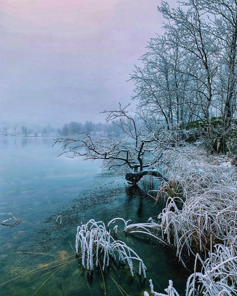 Photograph by Мария Василенко