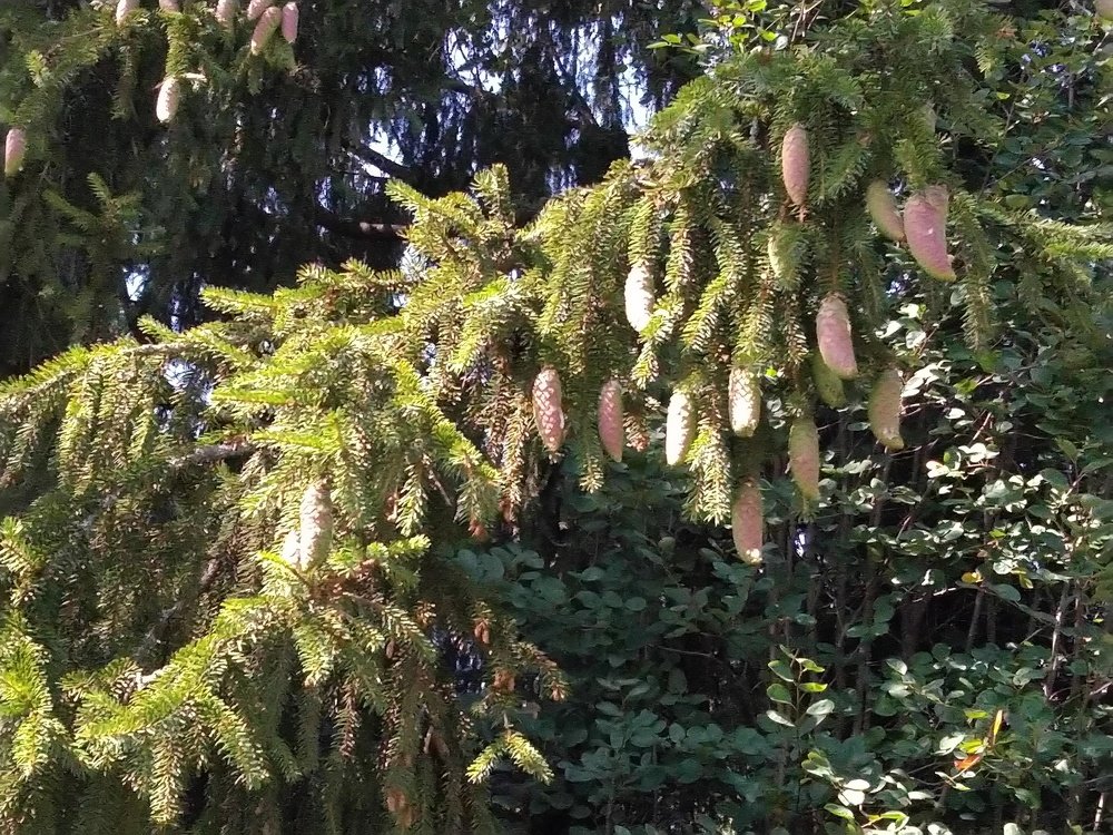 Photograph by Евгений Горбунов