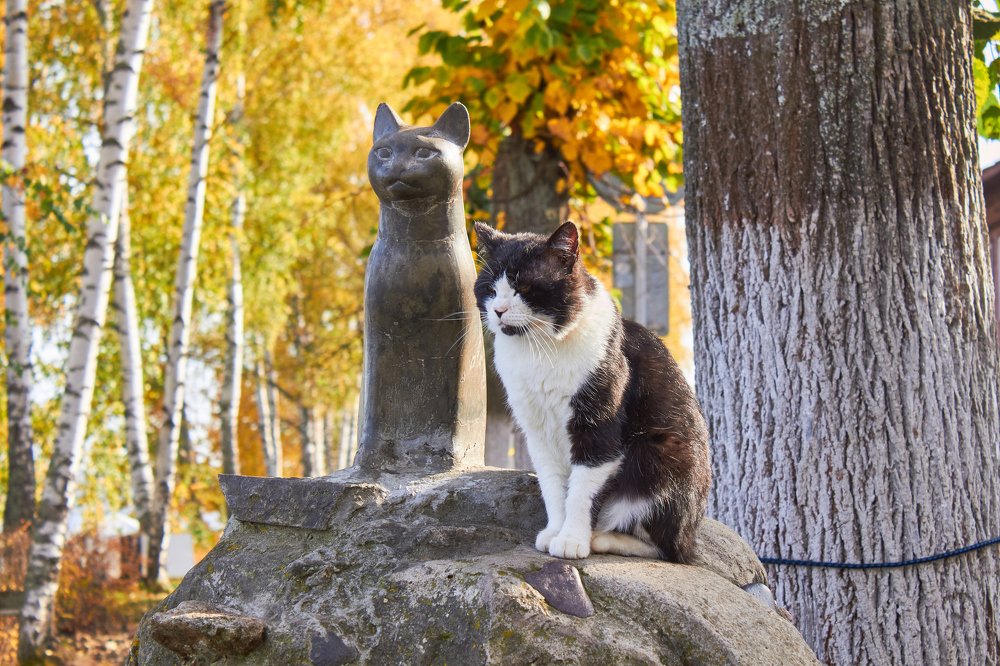 Photograph by Анна